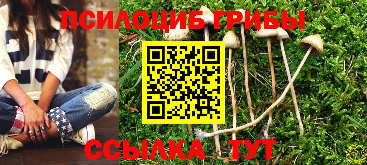 Котовск  закладка  Вход с VPN  Псилоцибиновые грибы прущие грибы 